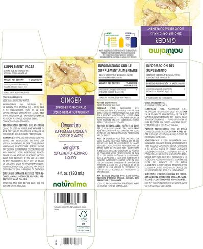 Naturalma Ginger (Zingiber officinalis) Rhizome Alcohol-Free Tincture 4 fl oz Liquid Extract in Drops | Herbal Supplement | Vegan | Product of Italy in Kuwait