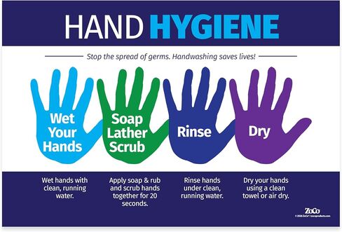 ZOCO - Hand Hygiene Poster - Laminated, 12 x 18 inches - Kids and Adults - Handwashing Poster for School and Workplace - School Nurse Bulletin Board Decorations in Kuwait