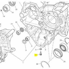 Ducati OEM Oil Drain Plug 89320062A Diavel Monster Streetfighter Scrambler