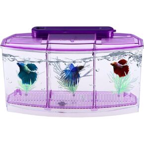 Fish Tank Betta Tank Purple Office Desktop