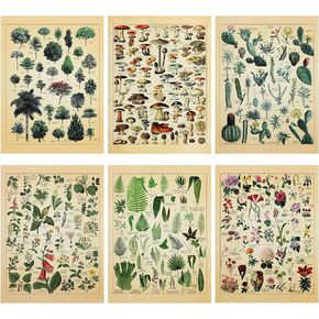 Set of 6 Plant Poster Vintage Botanical Prints 12 x 16 Inch Decorative Wrap Poster Tree Wall Art Picture Vintage Mushroom Decor Floral Nature Poster for Wall Cactus Posters Prints