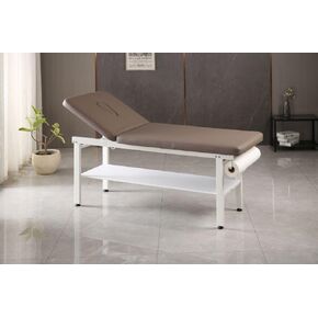 Carenovo 27.6" Width Comfortable Fixed Height Medical Exam Table Backrest Adjustable with Paper Holder and Breath Hole for Clinic Lab Treatment (Blue)