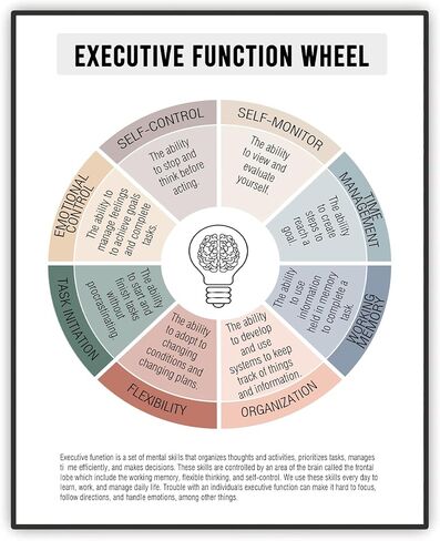 Executive Functioning Wheel Mental Health Poster, Therapy Office Wall Decor, Therapeutic Aids, Counseling Office Must Haves, Self Care Wheel Poster, School Counselor Office Decor, 11X14 inch Unframed in Saudi Arabia