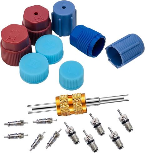 VOTNMIC Air Conditioning Valve Core Kit,Cap & Valve Air Conditioning System Seal Cap A/C R12 R134a Refrigeration A/C Valve Core Rmoval Tool HVAC AC Systems Charging Port Seal Caps Kit in Saudi Arabia