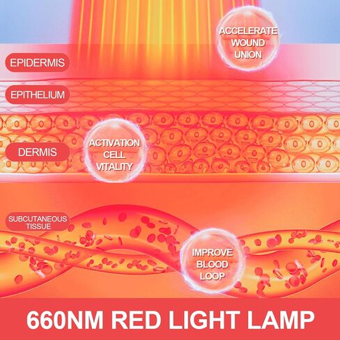 DGK Therapeutic Infrared Lamp,Red Light Therapy Light with Adjustable Height Base,Red Light Therapy for Face and Neck in Saudi Arabia