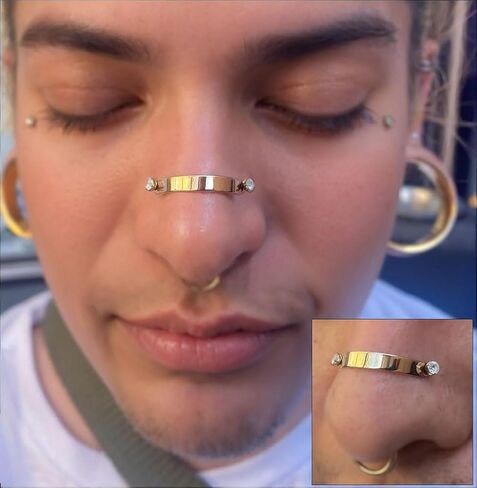 AccGin 14 قطعة 20 جرام 18 جرام من الفولاذ الجراحي عبر سلسلة حلقات الأنف العلوية للنساء، قضيب الحواجب المكعب زركونيا الأنف ترصيع سلسلة الأنف للنساء الرجال سلسلة ثقب الأنف مجوهرات ثقب الحاجب in Kuwait