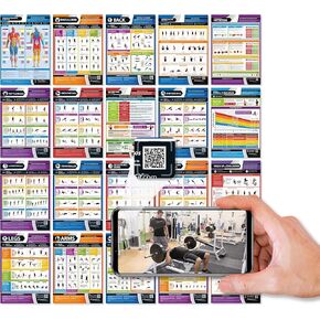 Workout Posters for Home Gym (Set of 20) - Extra Large 33" x 23.5" - Muscle Group Gym Poster - FREE Video Training Support - Exercise Posters - Dumbbell, Resistance Bands, Kettlebell - Home Workout Chart in Kuwait