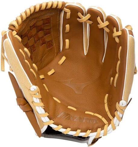 Mizuno Franchise Baseball Glove Series in Kuwait
