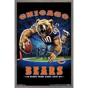 Trends International NFL Chicago Bears - End Zone 17 Wall Poster, 14.725" x 22.375", Premium Unframed Version in Kuwait