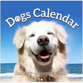2024-2025 Wall Calendar - Calendar 2024-2025, Wall Calendar 2024-2025, Jul.2024 to Dec.2025, 18 Monthly Calendar Planner, Funny Calendar Gag Gifts in Kuwait