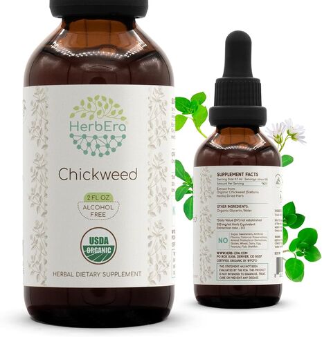Chickweed B60 Alcohol-Free Herbal Extract Tincture, Concentrated Liquid Drops Natural USDA Organic Chickweed (Stellaria Media) Dried Above-Ground Parts (2 fl oz) in Kuwait