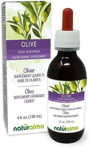 Naturalma Olive (Olea europaea) Leaf Alcohol-Free Tincture 4 fl oz Liquid Extract in Drops | Herbal Supplement | Vegan | Product of Italy in Kuwait