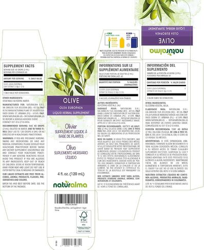 Naturalma Olive (Olea europaea) Leaf Alcohol-Free Tincture 4 fl oz Liquid Extract in Drops | Herbal Supplement | Vegan | Product of Italy in Kuwait