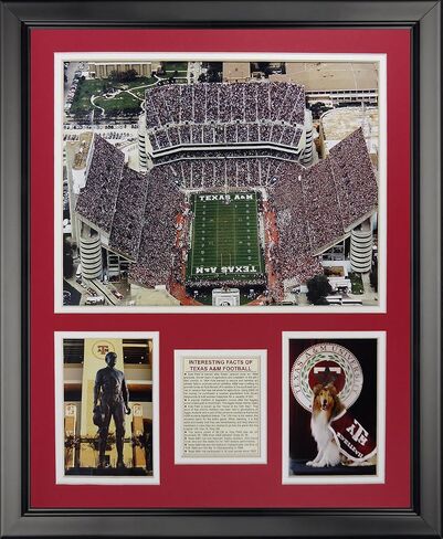 مجموعة صور مجمعة بإطار من Legends Never Die "Auburn University Tigers 2010 Champs، مقاس 11 × 14 بوصة (12049U) in Kuwait