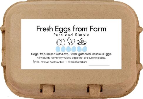 100 Sheets Egg Carton Labels 4 x 2" Stickers Decal Farm Fresh Eggs Chicken coop Supplies Blank Cartons 6 12 15 18 30 48 50 Count Basket Box Container (T00717-100) in Kuwait