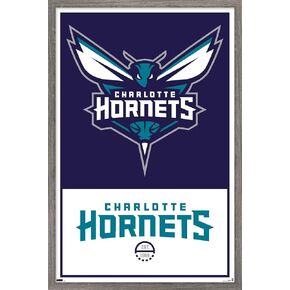 Trends International NBA Charlotte Hornets - ملصق حائط بشعار 21، 22.375 بوصة × 34 بوصة، نسخة غير مؤطرة in Kuwait