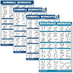 Palace Learning 4 Pack - Dumbbell Workout Posters Volume 1, 2 & 3 + Bodyweight Exercise Chart - Set of 4 Posters (Laminated with Plastic Frame, 18" x 24") in Kuwait