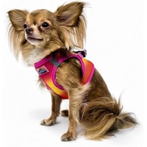 DOGGIE DESIGN American River Ultra Choke-free Harness (Purple, Small (Chest 13"-16" Weight 6-11 Lbs)) in Kuwait