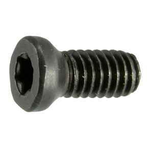 Black Oxide Star Drive Weaver Oval Head Gun Screws - 10 pcs. (8-40 x 1/4" T-15 Torx) in Kuwait