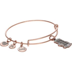 Alex and Ani AS21HPHNYRAR,Harry Potter Honeydukes Expandable Bangle Bracelet,Rafaelian Antique Rose,Multi,Bracelet