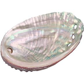 Comimark 1 PCS Natural Abalone Shells Seashell Home Aquarium Landscape DIY Decor Soap Holder