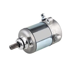 WATERWICH Starter Compatible with Honda TRX250 Recon 1997-2001 Trx250EX SportTrax 2001-2008 TRX250TM TRX250TE Recon Replaces 18336 31200-HM8-003, 31200-HM8-A41