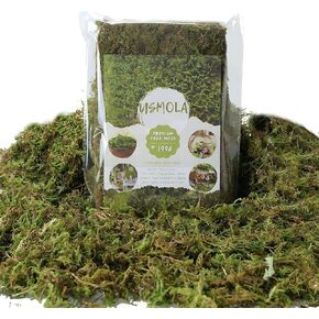Fake Moss, 8 OZ Green Moss for Potted Plants, Artificial Moss for DIY Crafts Home Decor Table Centerpieces Wedding Decoration (Fresh Green 225gr)