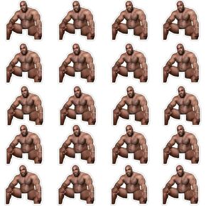 10Pcs Funny Barry Wood Light Switch Sticker Decals，3''x3.4'' Waterproof Vinyl Stikers for Laptop Window Wall Bumper Helmet, Joking Prank Tease Artifact Stickers for Adults（Barry Wood Sitting On Bed） in Kuwait