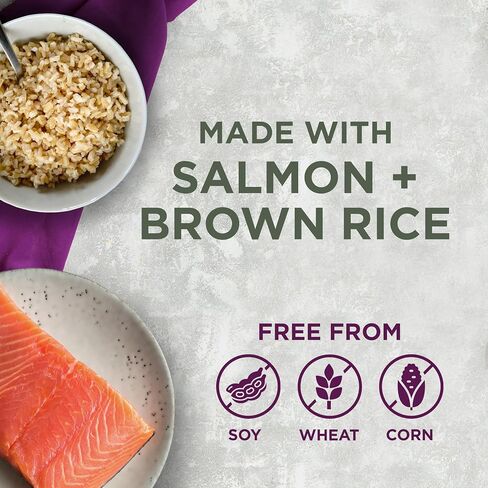 Blackwood Special Diet All Life Stages Dry Dog Food, 15Lb., Salmon Meal & Brown Rice Recipe, Sensitive Skin and Stomach, Grain Free Dog Food in Saudi Arabia