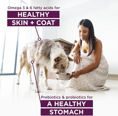 Blackwood Special Diet All Life Stages Dry Dog Food, 15Lb., Salmon Meal & Brown Rice Recipe, Sensitive Skin and Stomach, Grain Free Dog Food in Saudi Arabia