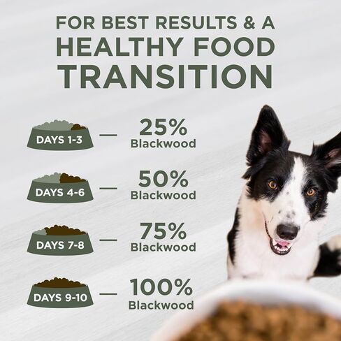 Blackwood Special Diet All Life Stages Dry Dog Food, 15Lb., Salmon Meal & Brown Rice Recipe, Sensitive Skin and Stomach, Grain Free Dog Food in Saudi Arabia