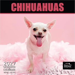 MICASA Jack Russell Terriers 2024 Hangable Monthly Wall Calendar | 12" x 24" Open | Thick & Sturdy Paper | Giftable | Cute Dog | Next-Level Adorable in Kuwait