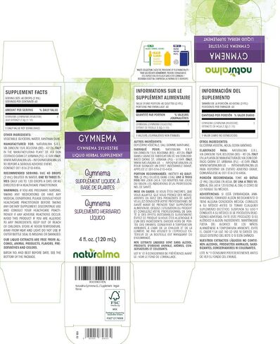 Naturalma Gymnema (Gymnema sylvestre or Marsdenia sylvestris) leaf Alcohol-free Tincture - 4 fl oz Liquid extract in drops - Herbal supplement - Vegan in Kuwait
