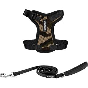 Best Pet Supplies Voyager Step-in Lock Pet Harness w Reflective Pet Leash Combo Set with Neoprene Handle 5ft - Supports Small, Medium and Large Breed Puppies/Cats - Royal Blue/Black Trim Set, S in Kuwait