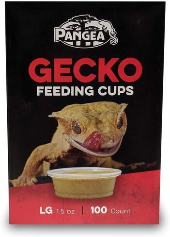 Pangea Large Gecko Ledge Replacement Cups 100 Count in Kuwait