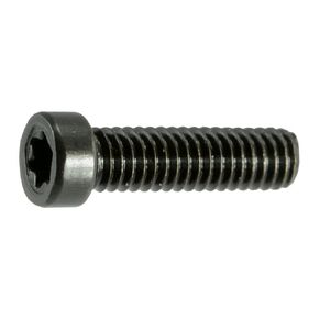 Black Oxide Star Drive Fillister Head Gun Screws - 10 pcs. (6-48 x 1/4" T-10 Torx) in Kuwait