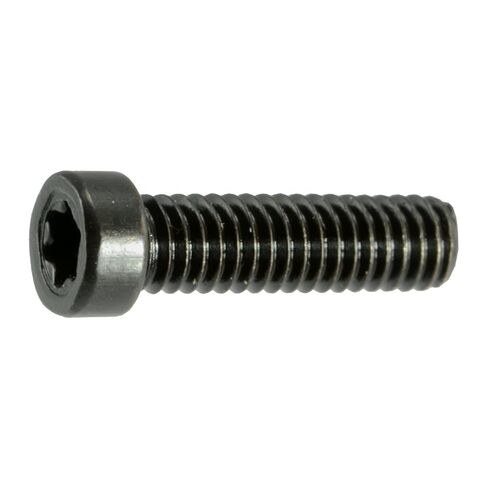 Black Oxide Star Drive Fillister Head Gun Screws - 10 pcs. (6-48 x 1/4" T-10 Torx) in Kuwait