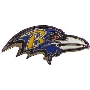 aminco NFL unisex-adult Logo Pin in Kuwait