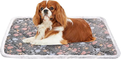 سجادات قفص الكلاب من Dekeyoo، سجادة سرير ناعمة قابلة للعكس للكلاب، سجادة للقطط - مقاس 24 × 16 بوصة، بساط قطيفة قصير للكلاب الصغيرة، بساط سميك رفيع للكلاب مقاس 2.54 سم، يمكن غسله في الغسالة، مثالي لصناديق الكلاب مقاس 24 بوصة in Kuwait
