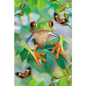 Tree-Free Greetings EcoNotes 12 Count Frog Framed All Occasion Notecard Set with Envelopes, 4 x 6 Inches (FS56911)