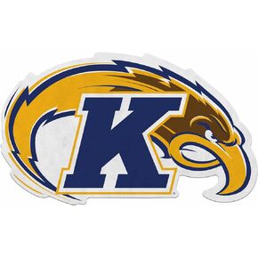 Rico Industries NCAA Kent State Golden Flashes Primary Shape Cut Pennant - Home and Living Room Décor - Soft Felt EZ to Hang