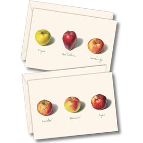 Earth Sky + Water - Apple Assortment Notecard Set - 8 Blank Cards with Envelopes (4 each of 2 styles)