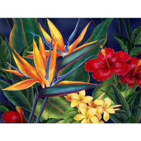 YSCOLOR DIY 5D Diamond Painting Numbering Kit Floral Bird Tropical Paradise Hawaii Full Drill Painting Arts Craft Canvas 12x16inch