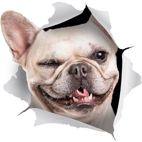 Winston & Bear 3D Dog Stickers - 2 Pack - Black and White French Bulldog Stickers for Wall, Fridge, Toilet and More - Retail Packaged Pied Frenchie Stickers