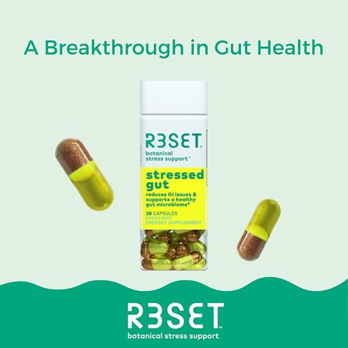 R3SET مكمل غذائي يومي للبروبيوتيك للأمعاء المجهدة لصحة الأمعاء، وحرقة المعدة، والانتفاخ، والغاز - البروبيوتيك المكمل للنساء + الرجال - الزنجبيل، وجذور عرق السوس، ومزيج الفطر العضوي، طبيعي، 28 قطعة in Kuwait
