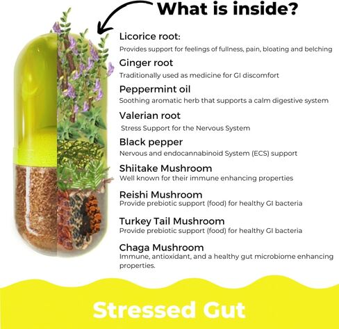 R3SET مكمل غذائي يومي للبروبيوتيك للأمعاء المجهدة لصحة الأمعاء، وحرقة المعدة، والانتفاخ، والغاز - البروبيوتيك المكمل للنساء + الرجال - الزنجبيل، وجذور عرق السوس، ومزيج الفطر العضوي، طبيعي، 28 قطعة in Kuwait