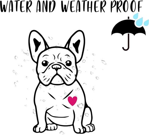 French Bulldog Sticker 5-by-3 Inches - Strong Adhesive Waterproof Frenchie Car Decal - Transparent and Used for Car, Laptop, Water Bottle, Wall in Saudi Arabia