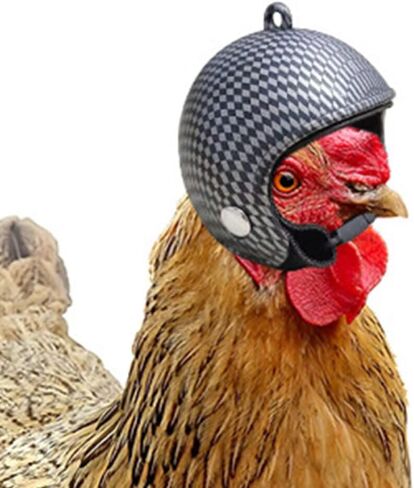 POPETPOP Toys Hens Helmets Chicken Helmets - 4pcs Chicken Hats for Hens Plastic Pet Headwear Protective Pet Helmets Safety Headgear for Chickens Pet Chicken Helmet Hat in Saudi Arabia