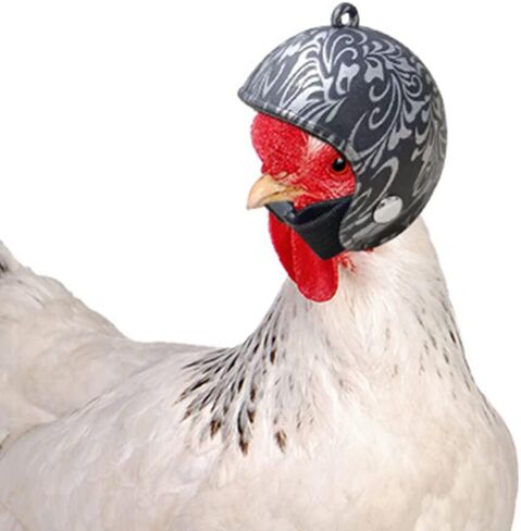 POPETPOP Toys Hens Helmets Chicken Helmets - 4pcs Chicken Hats for Hens Plastic Pet Headwear Protective Pet Helmets Safety Headgear for Chickens Pet Chicken Helmet Hat in Saudi Arabia
