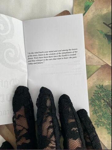 Ogham's Fortune Oracle Deck Runes Celtic Runes Tree Alphabet Fortune Telling in Kuwait